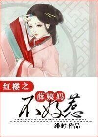 《(红楼同人)红楼之薛姨妈不好惹》