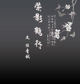 （张国荣同人）荣影鹤行