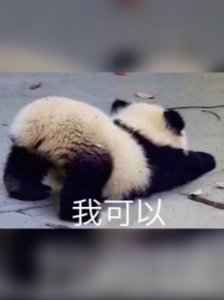 《竖直弯勾》