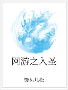 网游之入圣