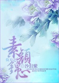 倚天之素颜锦心（倚天同人）