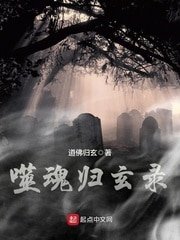 《噬魂归玄录》
