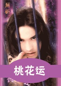 桃花运（出书版）