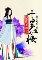 妃你不可之十里红妆