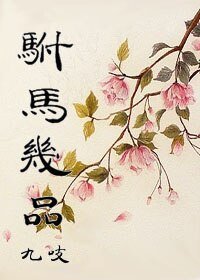 《驸马几品》