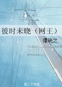 （网王同人）彼时未晓（网王）