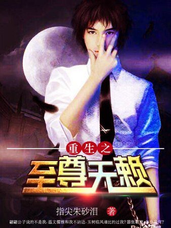 重生之至尊无赖