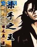 《杀手之王》