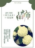 《重生未来之晶师》