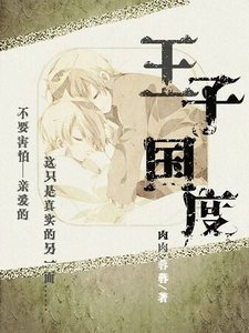 《毁童话之王子国度》
