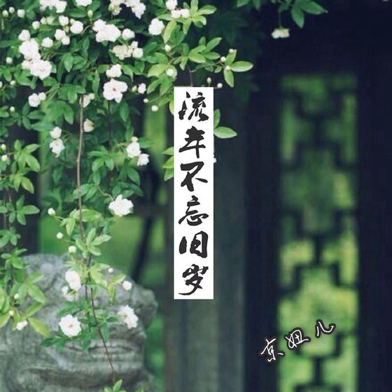 流年不忘旧岁