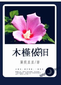 木槿依旧