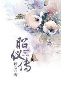 昭仪传