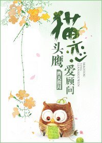 猫头鹰恋爱顾问