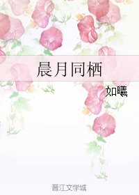 晨月同栖