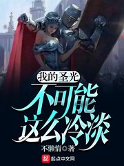 《我的圣光不可能这么冷淡》