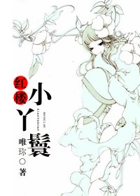 《(BG-红楼梦同人)红楼小丫鬟》
