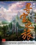 异界寻宝之旅