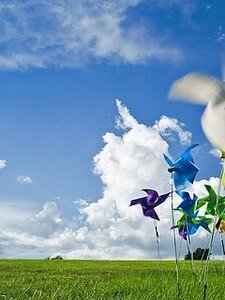 （苍天+情深深同人）萍翔风落