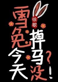 （BL/综漫同人）雪兔今天掉马没[综漫]