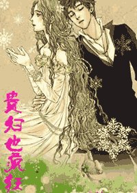 贵妇也疯狂