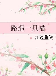 路遇一只喵