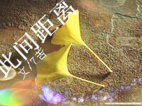 此间距离