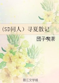 （灌篮高手同人）(SD同人）寻夏散记