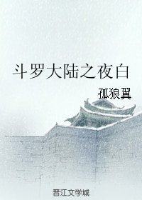 （斗罗大陆同人）斗罗大陆之夜白