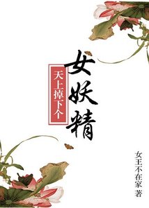 《天上掉下个美娇娘》