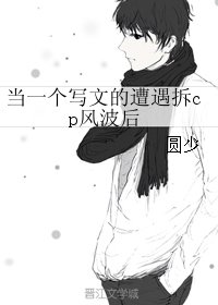 当一个写文的遭遇拆cp风波后
