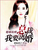 婚婚欲醉：总裁我要离婚
