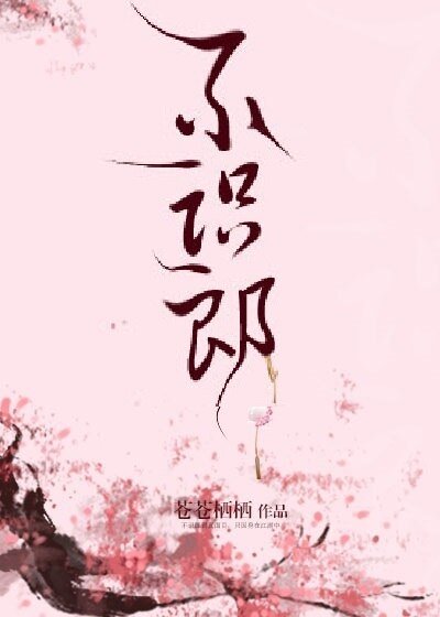不识郎