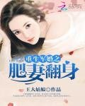 《重生军婚之肥妻翻身》