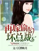 再嫁偷心坏总裁