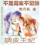 不是冤家不聚头:调皮王妃