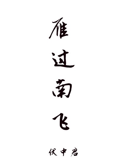 《雁过南飞》