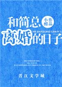 和简总离婚的日子