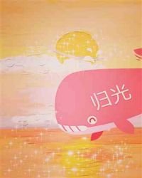 《归光》