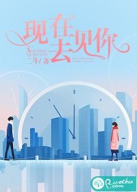 现在去见你