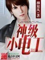 《神级小电工》