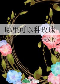 哪里可以种玫瑰