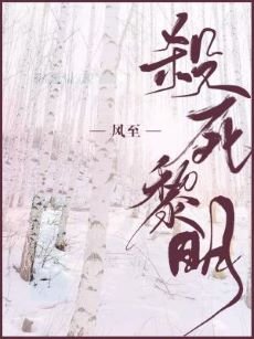 《杀死黎明》
