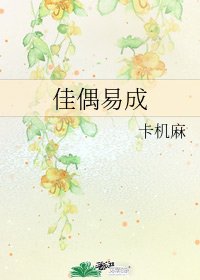 佳偶易成