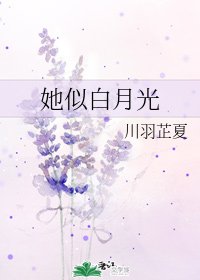 她似白月光
