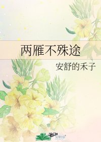 两雁不殊途