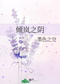 《倾岚之阴》