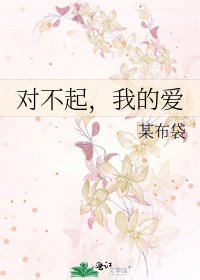 对不起，我的爱
