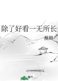 《除了好看一无所长》