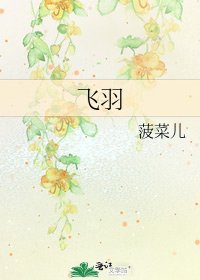 飞羽